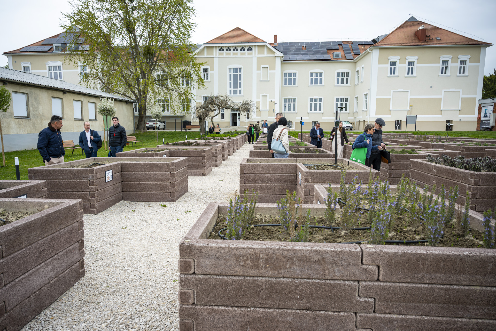 Participants of the opening event also visited the smart garden of the Albert Kázmér Faculty of Agricultural and Food Sciences at Széchenyi István University, which supports practice-oriented education and research in the field of precision agriculture (Photo: Gergely Nagy)